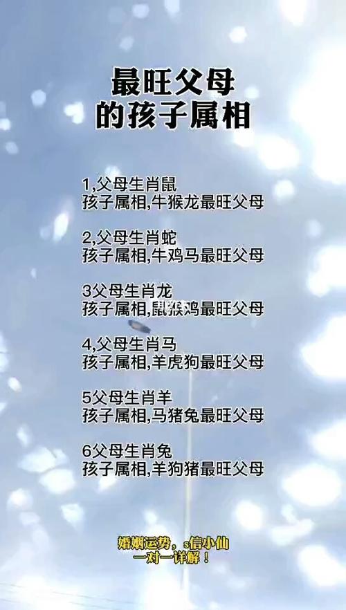 找人代生宝宝属什么好