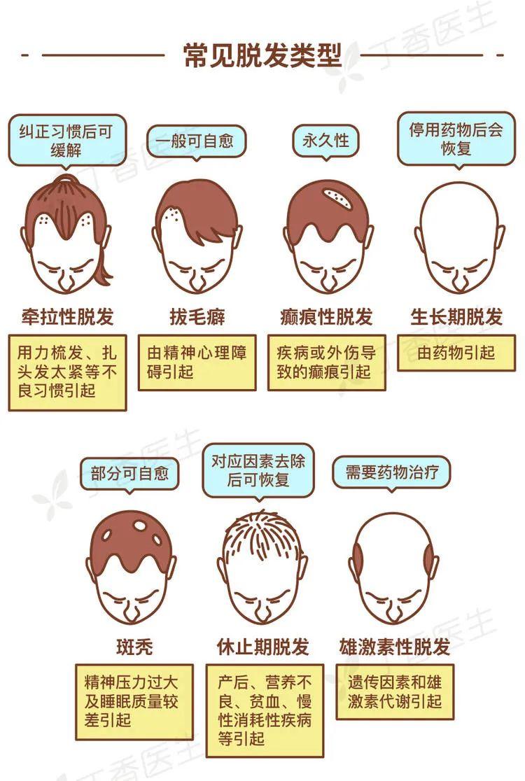 掉头发是什么原因
